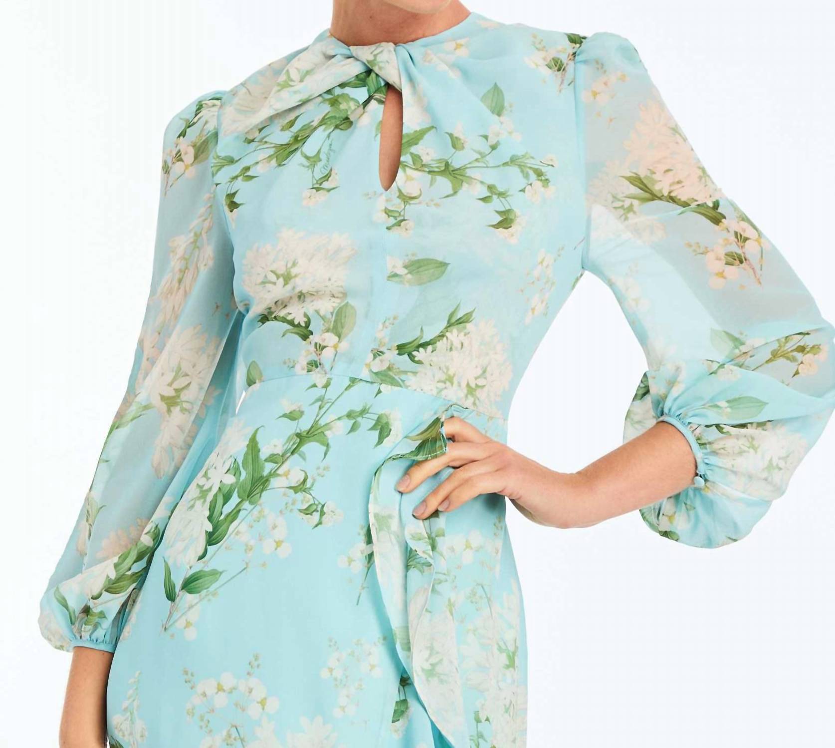 Mestiza New York - Ophelia Chiffon Gown