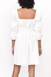 Greylin - Willow Poplin Dress
