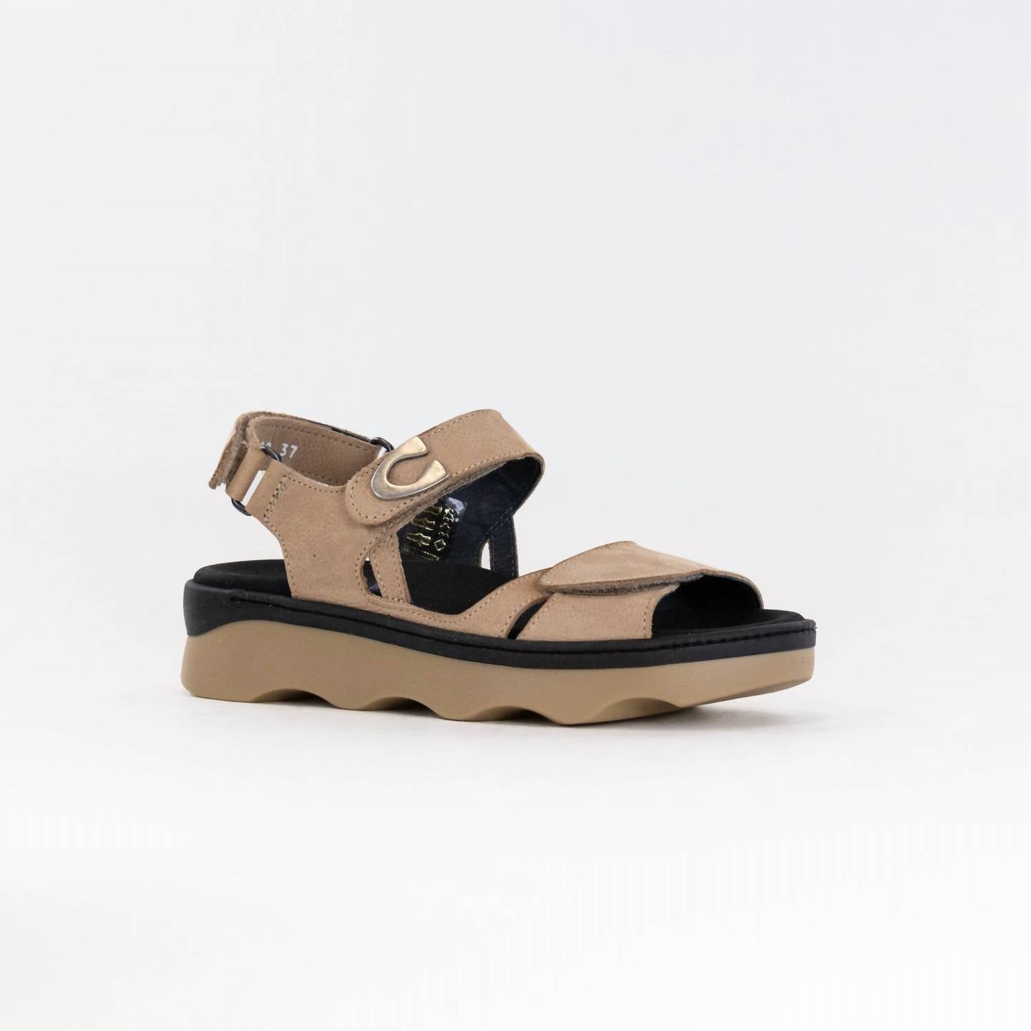 Wolky - Women's Medusa Sandal