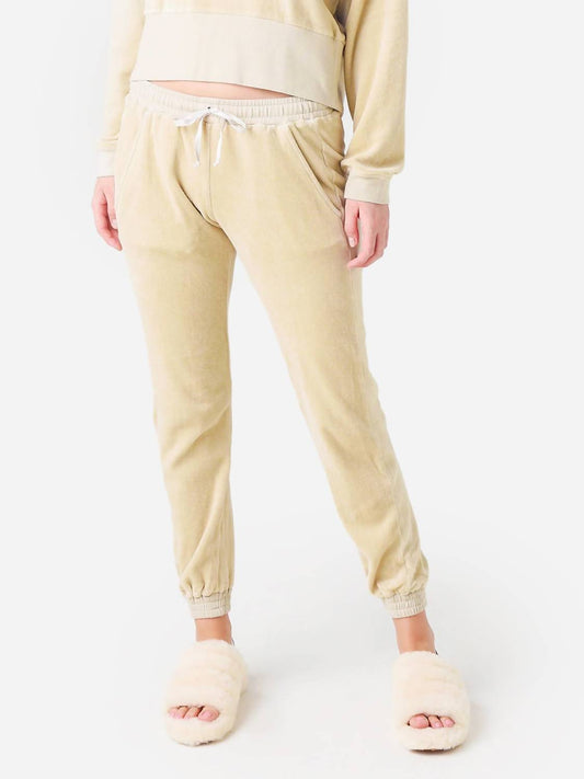 Starkx - Velour Jogger Pant