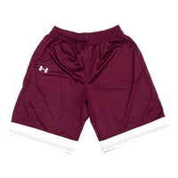 UNDER ARMOUR Men's Stock Toli Shorts in maroon - men's shorts