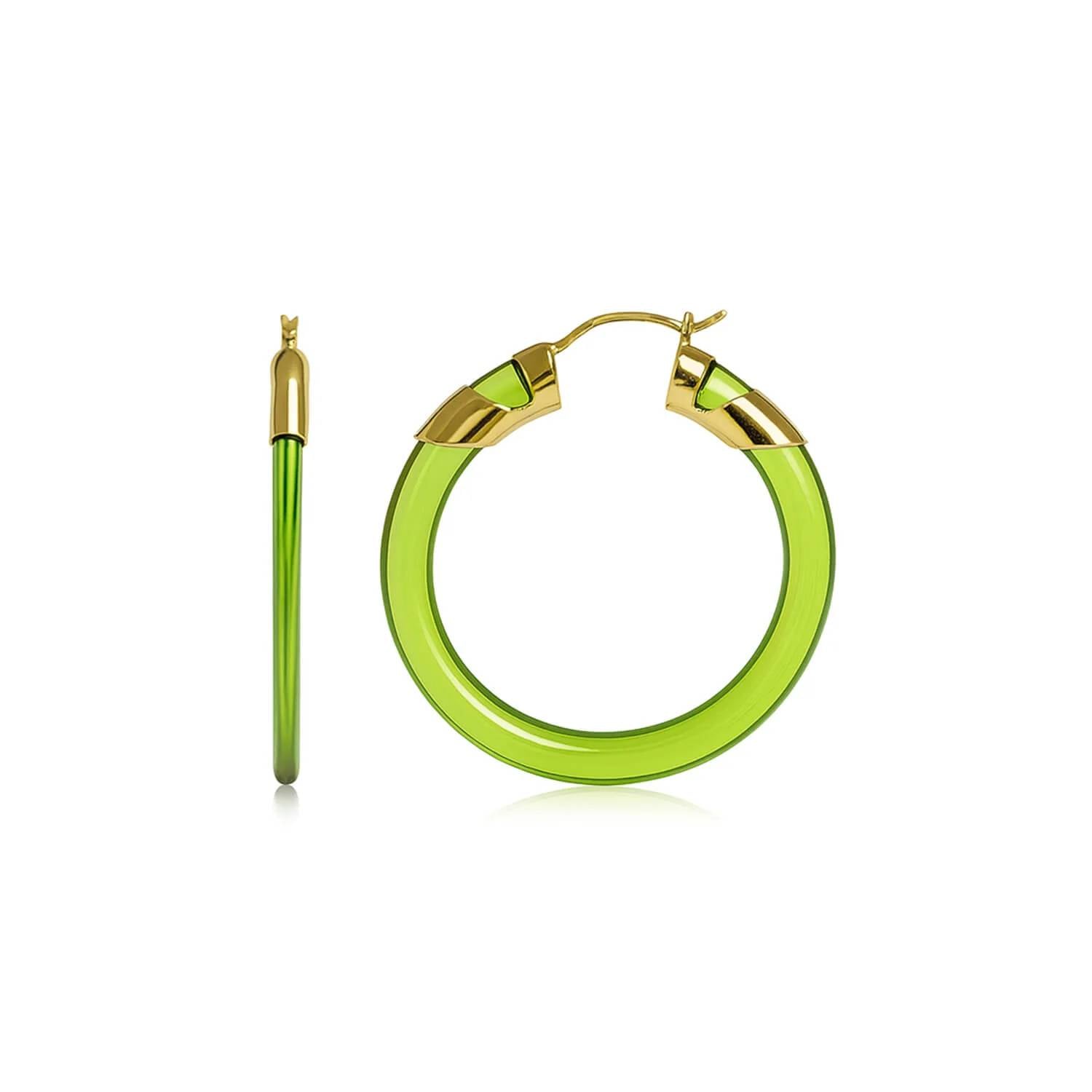 Gold & Honey - Women's Classic Flat Lucite Birthstone Hoop Earrings