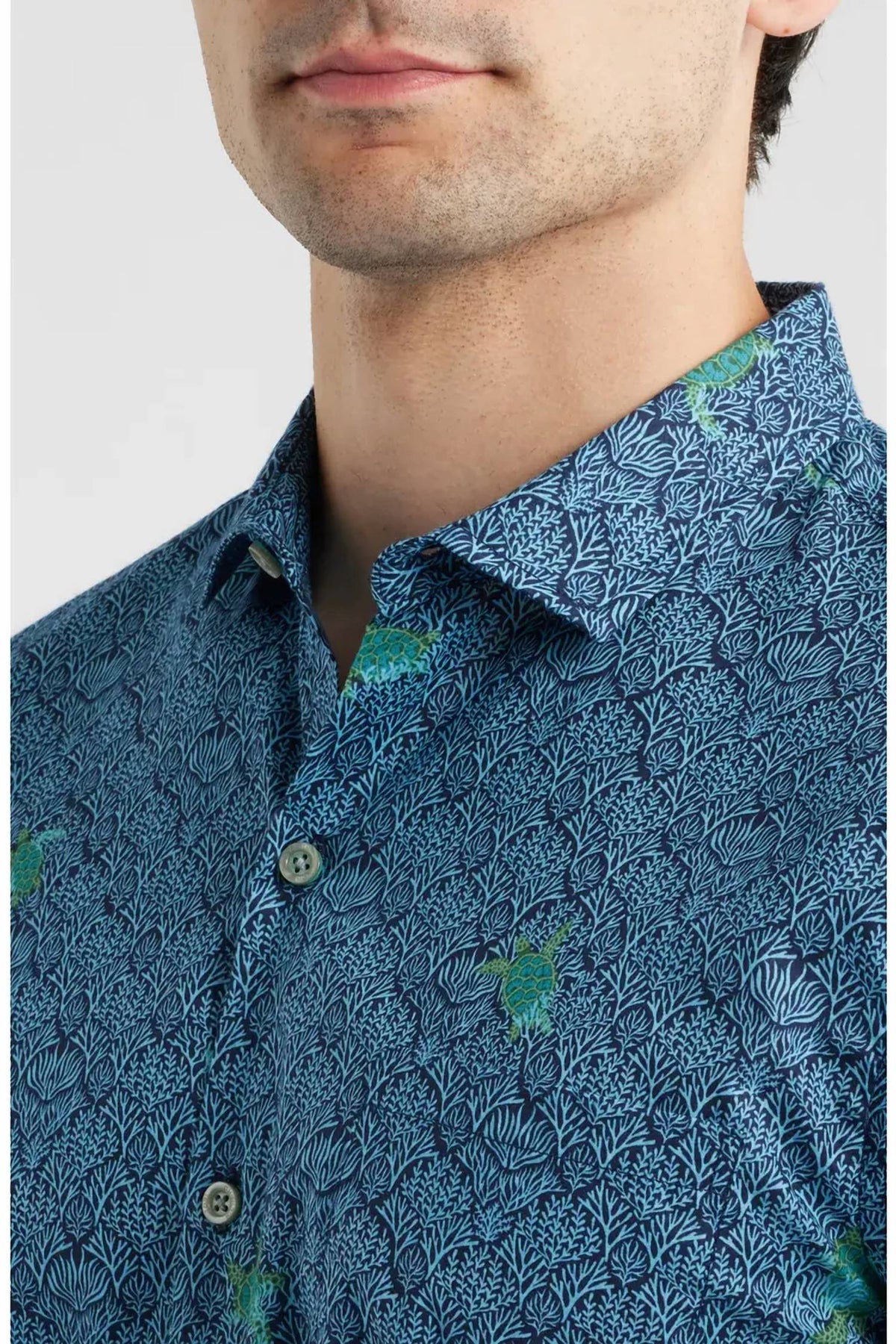 Tori Richard - Chelonian Short Sleeve Cotton Button Up Shirt - Plus