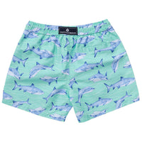 Snapper Rock - Boys' Volley Board Shorts