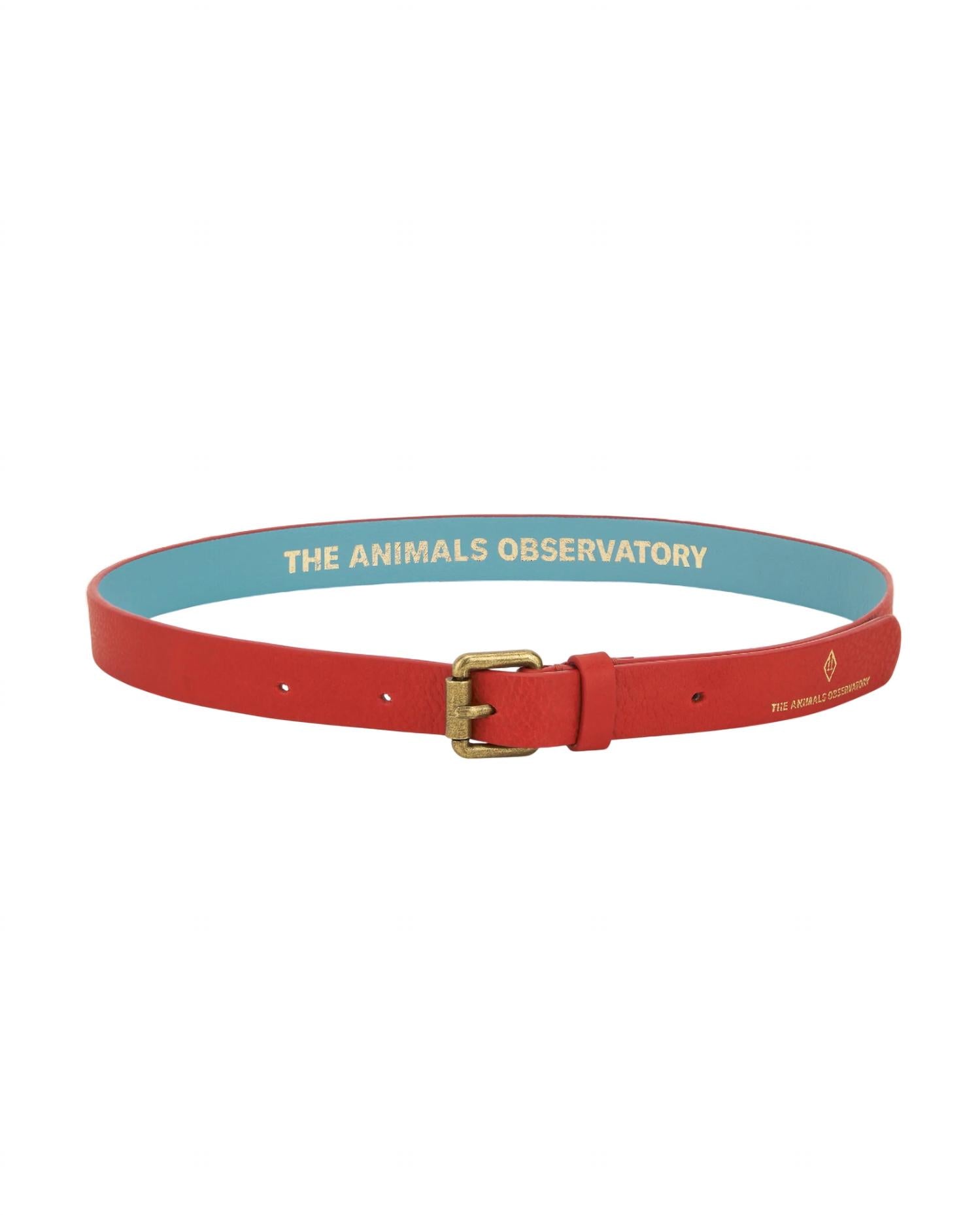 The Animals Observatory - Kids Ibis Belt