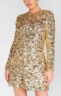 Show Me Your Mumu - Maddison Mini Dress