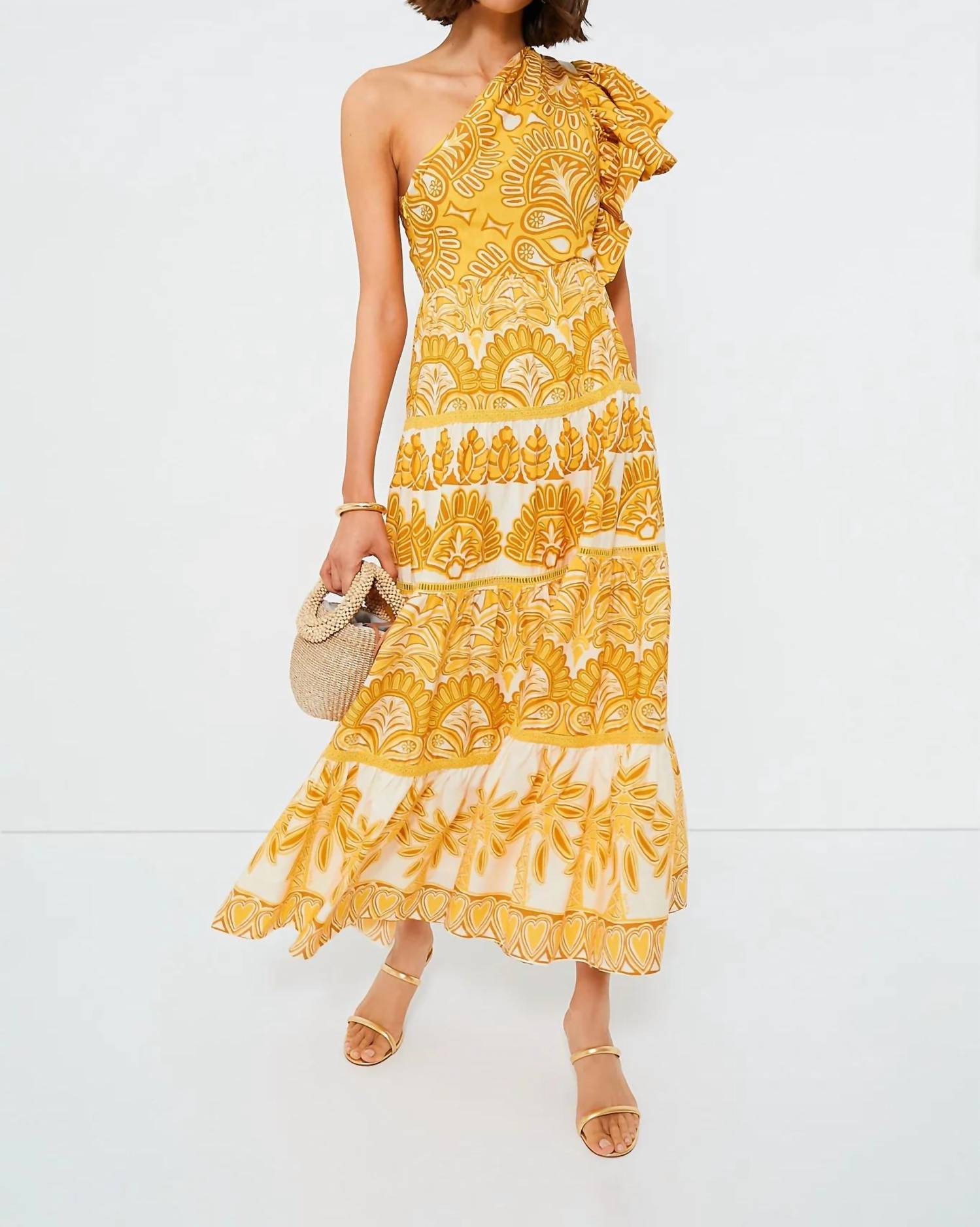Farm Rio - Ainika Tapestry One Shoulder Dress