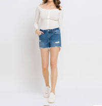 Vervet By Flying Monkey - High Rise Distressed Shorts