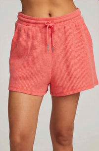 Chaser - Kesh Tie Front Short