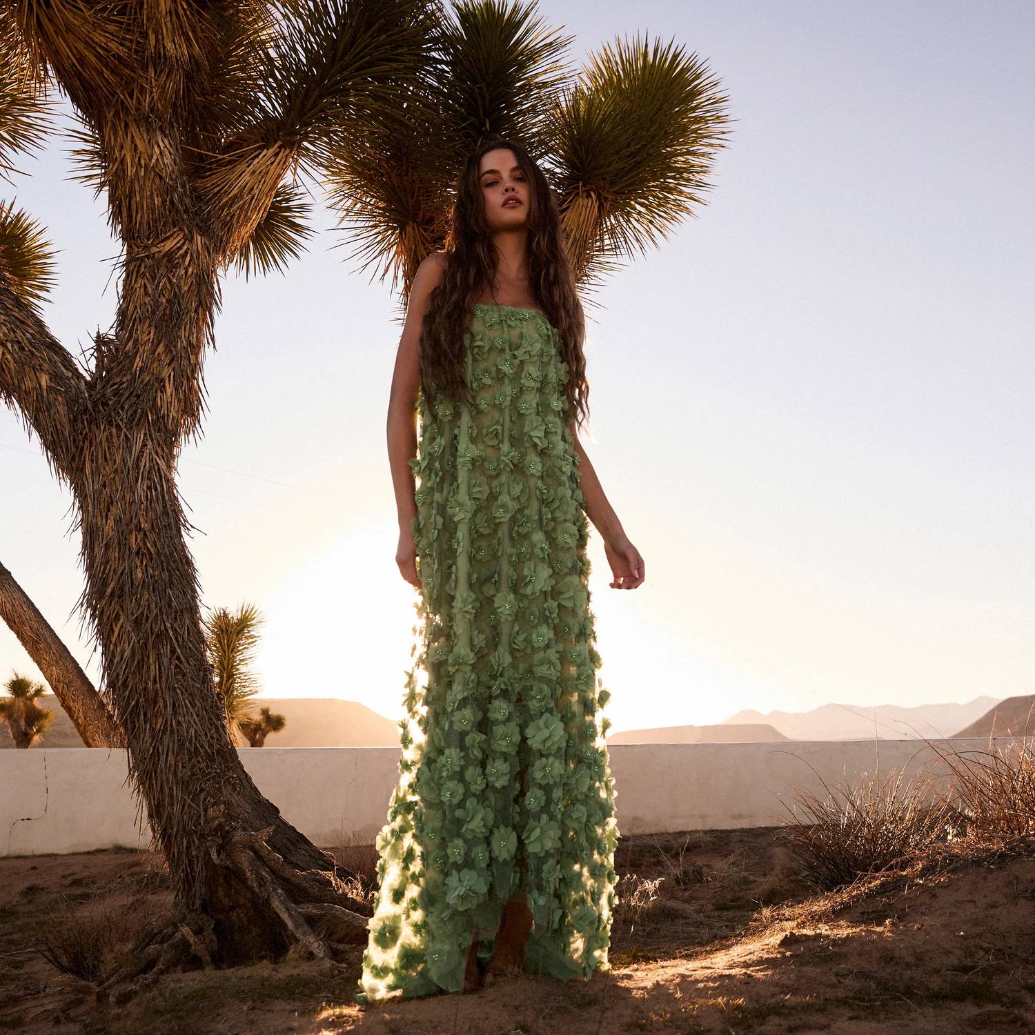 Helsi - Floral Embroidered Athena Dress