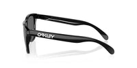 Oakley - Men's Frogskin Polarized Sunglasses