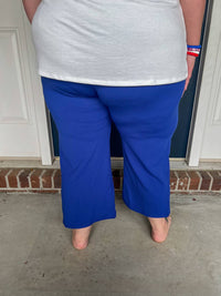 Heimish Usa - Lucy Wide Leg Stretchy Crop Pants