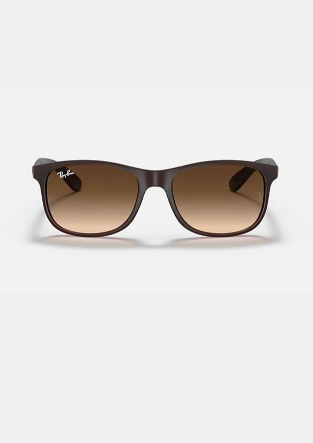 Ray Ban - Andy Rb4202 607313 Sunglasses