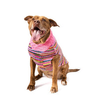 Chilly Dogs - Multi Colored Dog Sweater