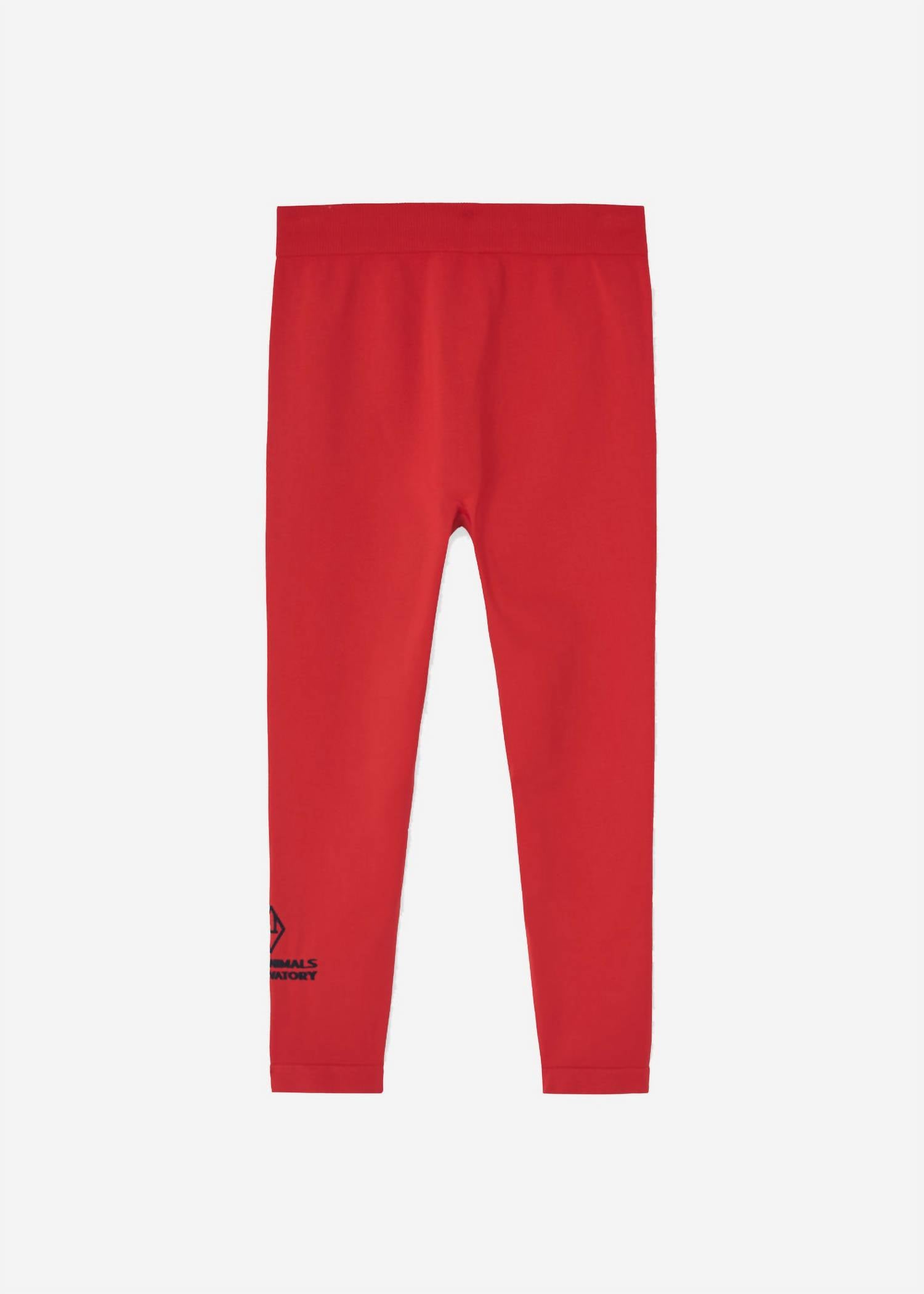 The Animals Observatory - Boy's Alligator Leggings