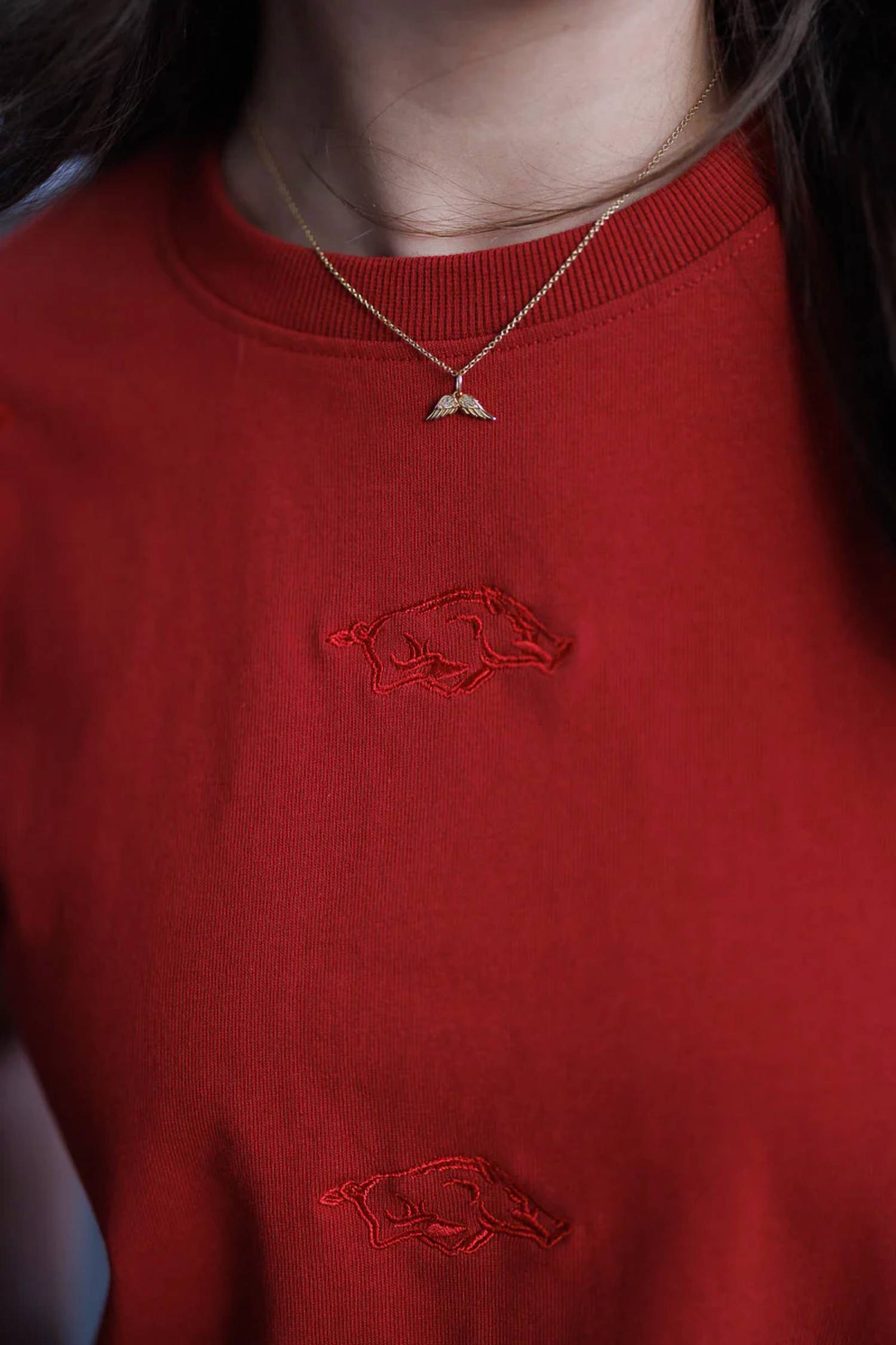 Gameday Social - Arkansas Heavyweight Crop Tee