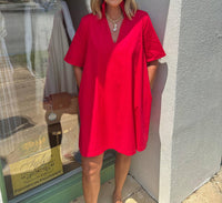Adrienne - Ruffle Collar A Line Dress