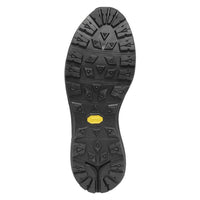 Danner - Men's Mountain 600 Evo 4.5" GTX Hiking Boots