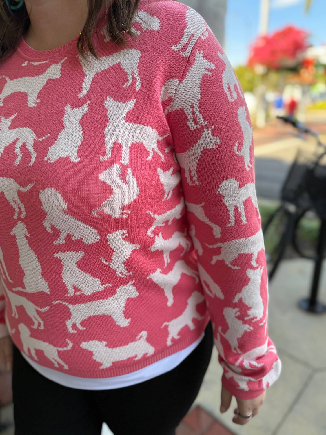 Alashan Cashmere - Dogs Crewneck Sweater