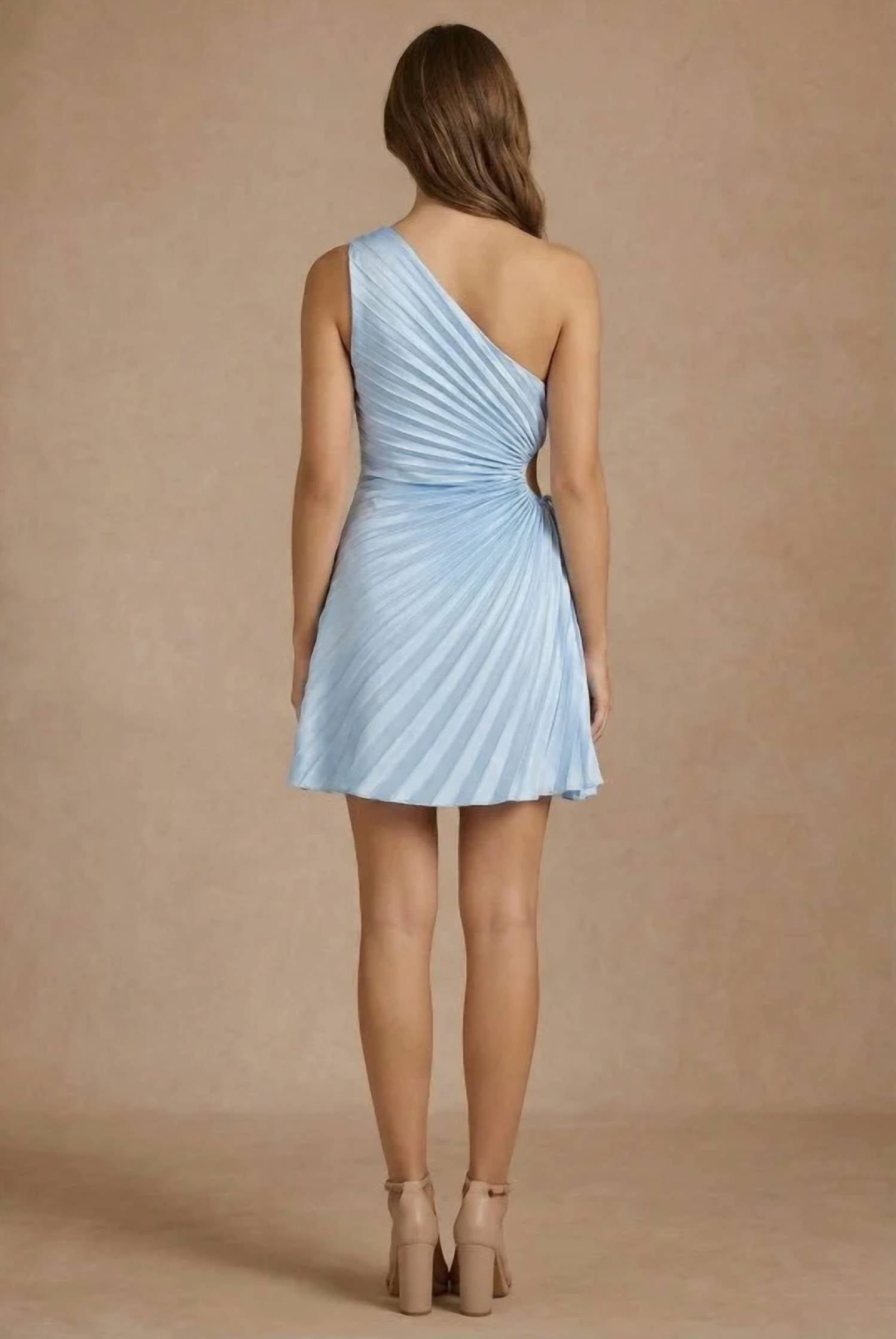 Lena - Marin Pleated Mini Dress