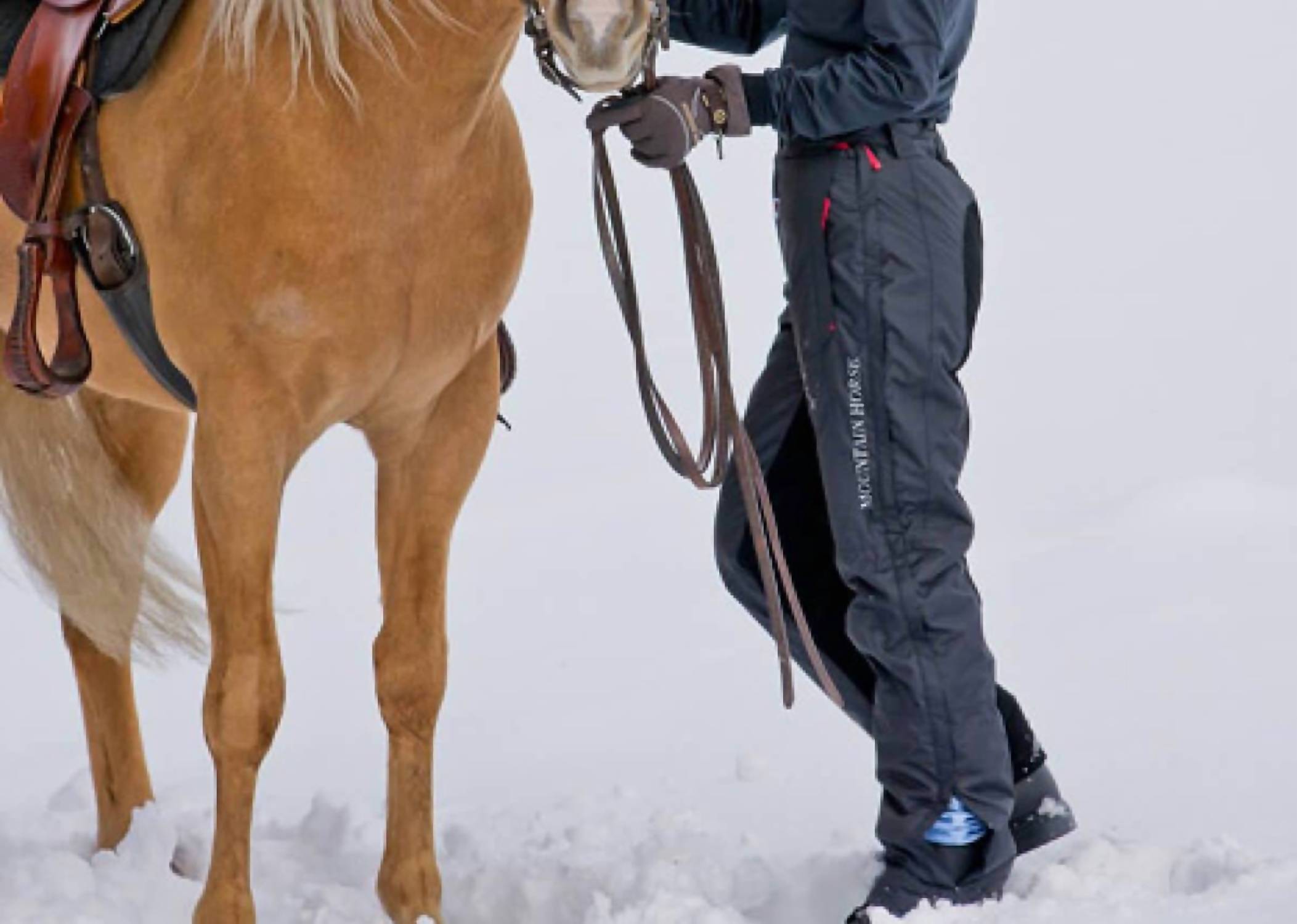 Mountain Horse - Polar Breech Pants