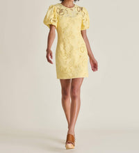 Steve Madden - Women's Elly Dress