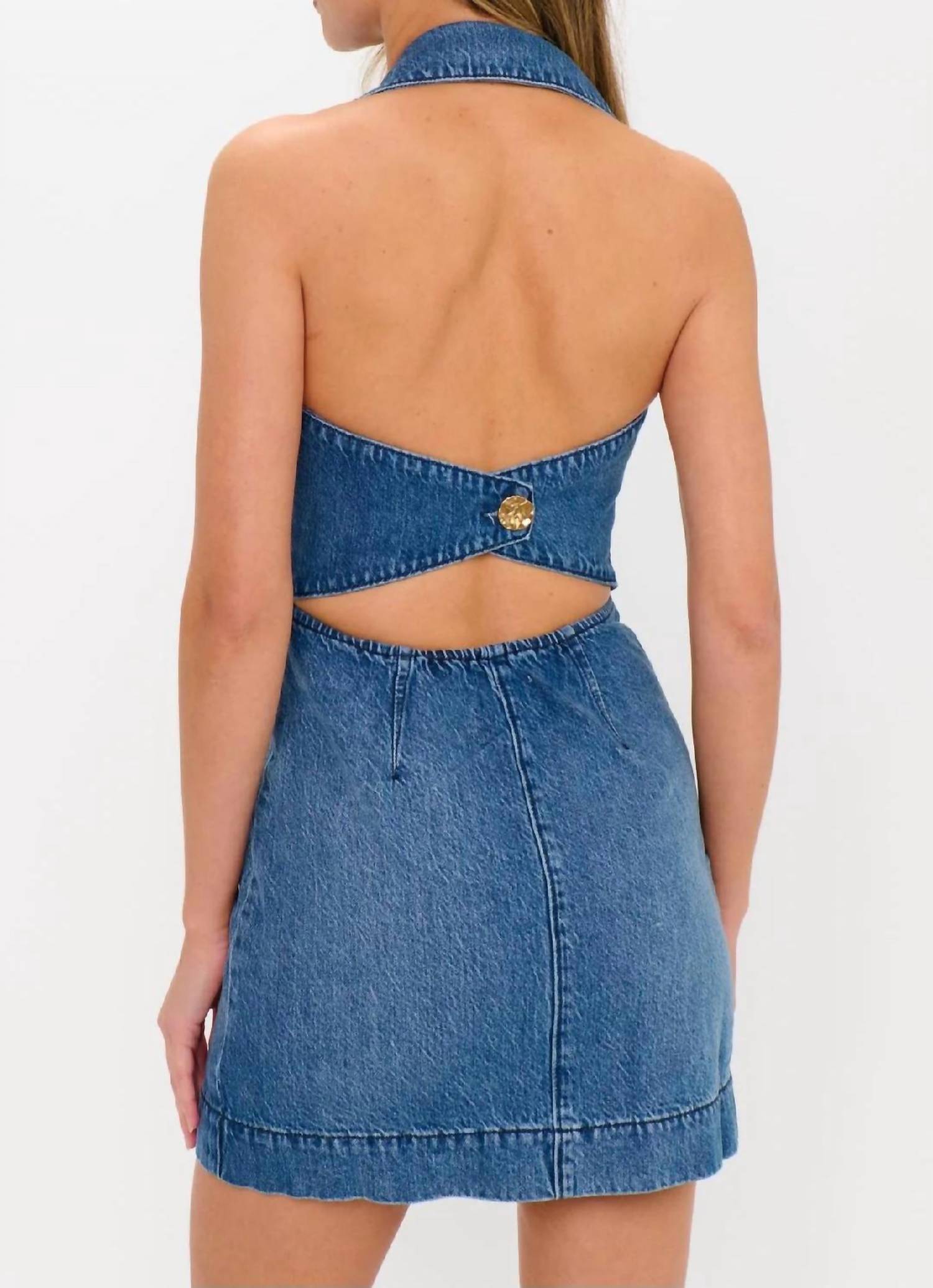 Show Me Your Mumu - Darien Mini Dress