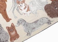 Inoui Editions - Women's Etole 100 Toutou Scarf