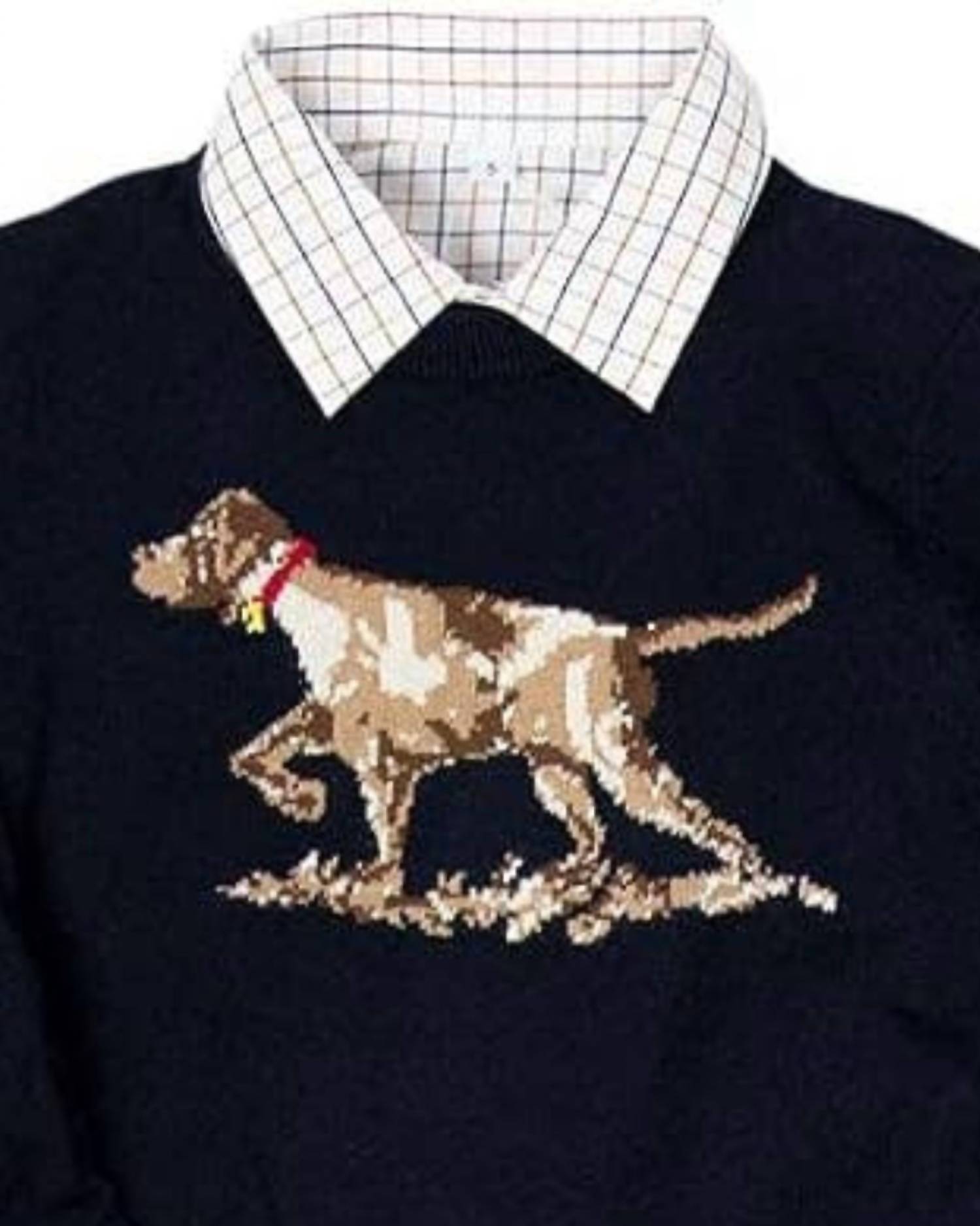 Good Lad Apparel - Boy's Long Sleeve Dog-themed Sweater Set