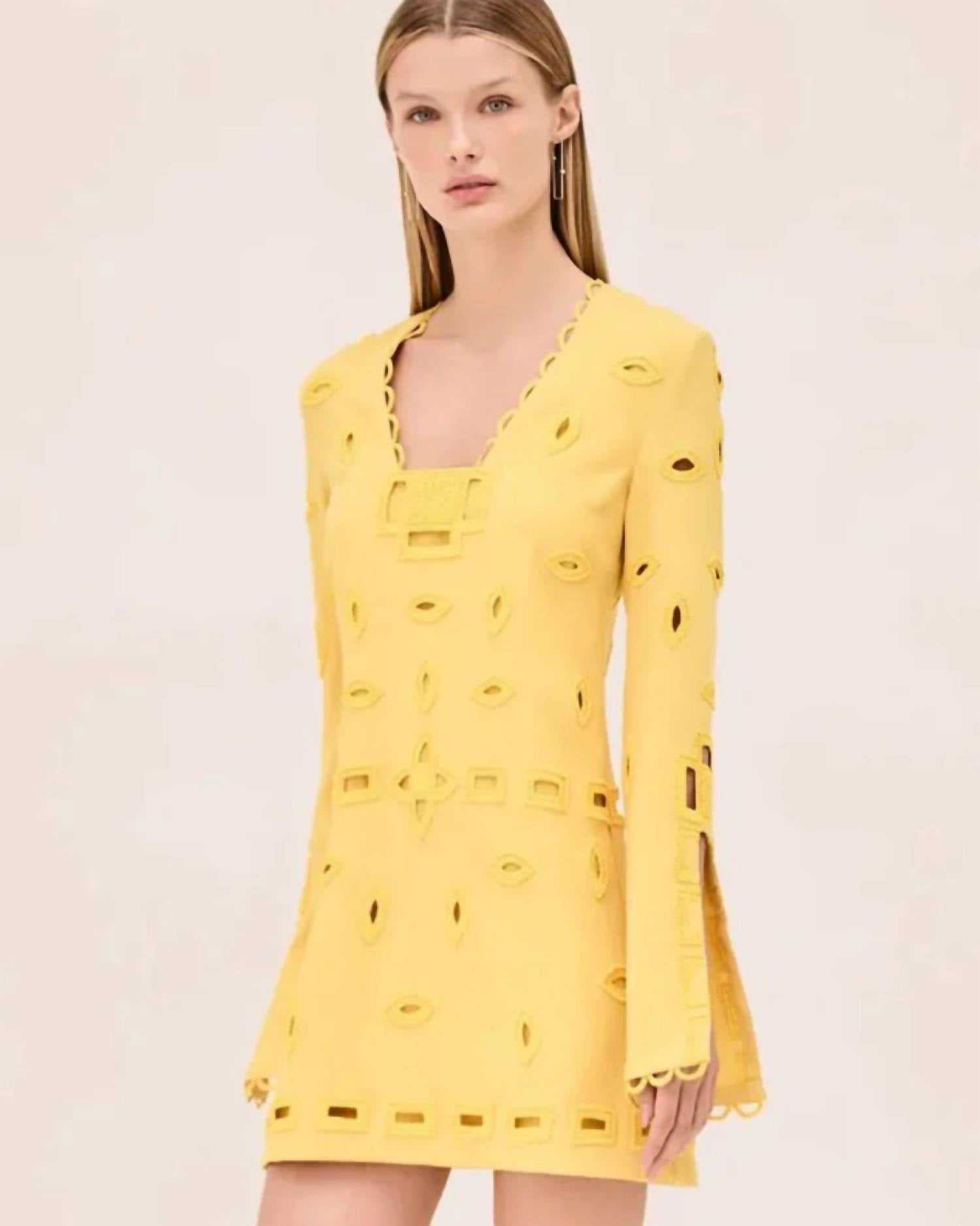 Alexis - Eulia Mini Dress