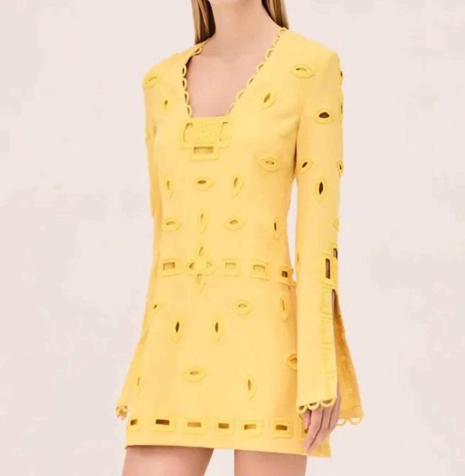 Alexis - Eulia Mini Dress