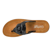 Corkys Footwear - Women's So Delish Flip Flops