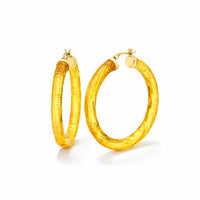 Gold & Honey - Women's Instyle Lucite Hoop Earrings