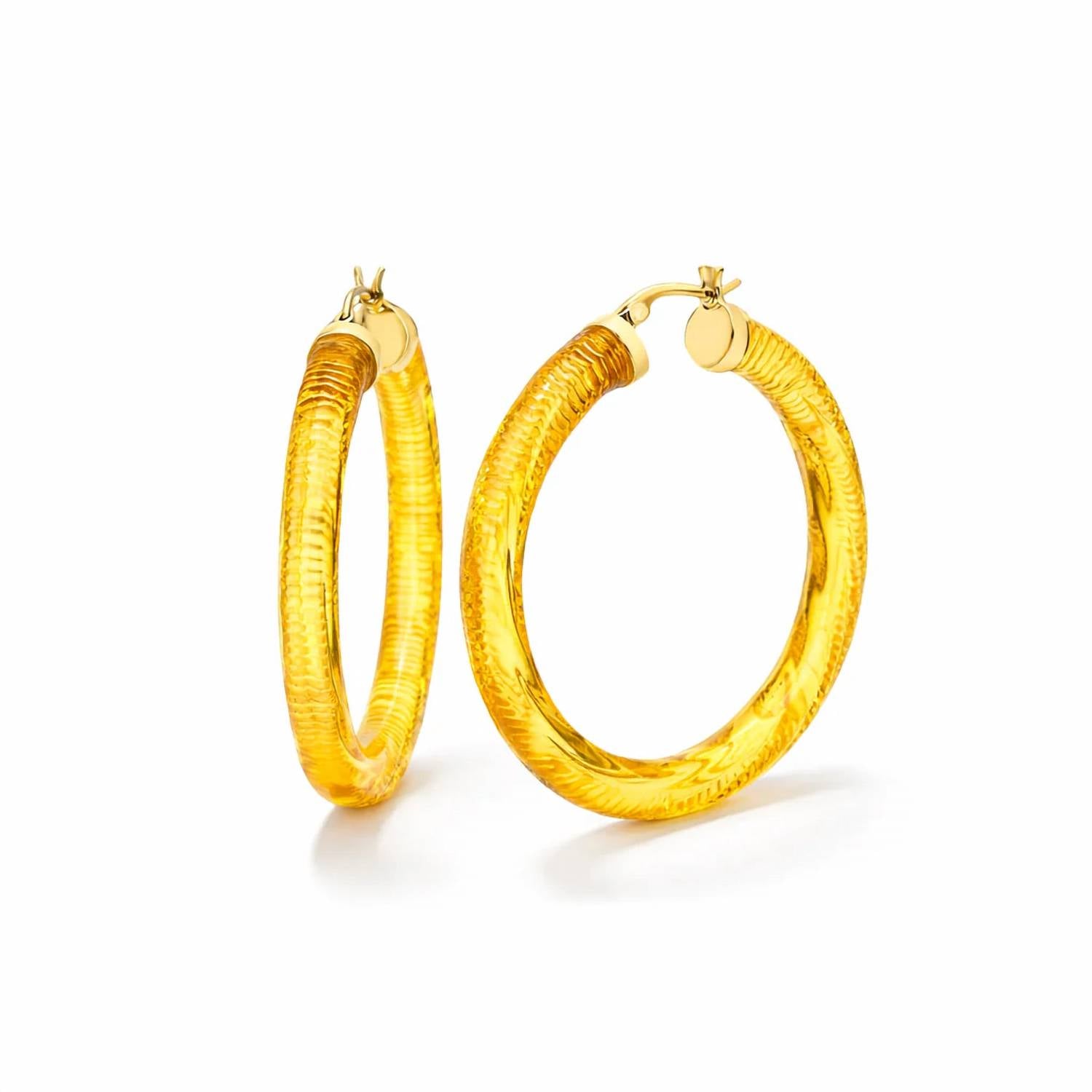 Gold & Honey - Women's Instyle Lucite Hoop Earrings