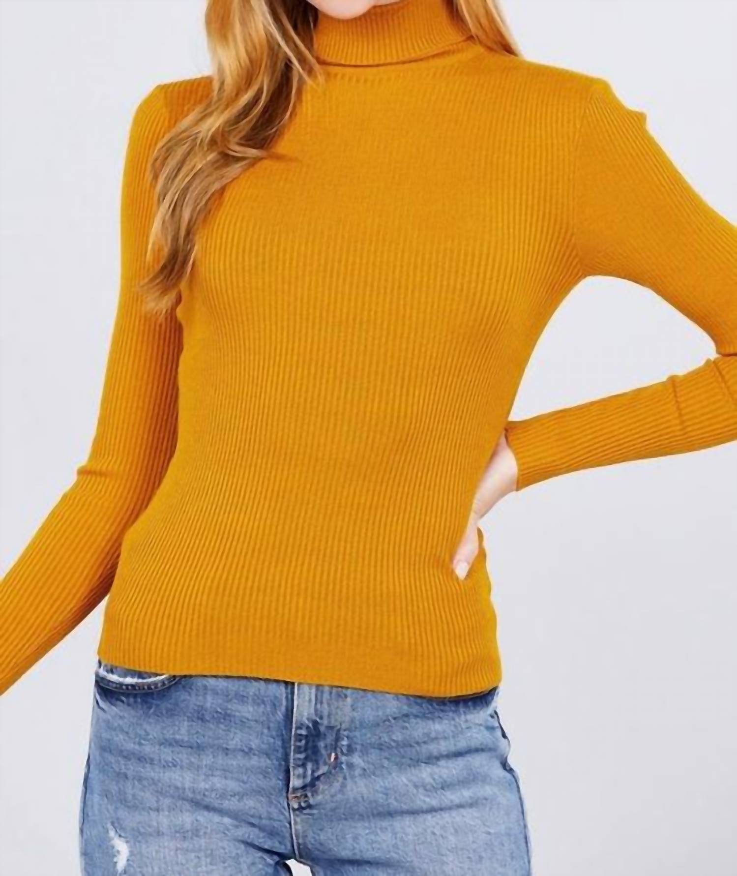 BASIC TURTLE NECK