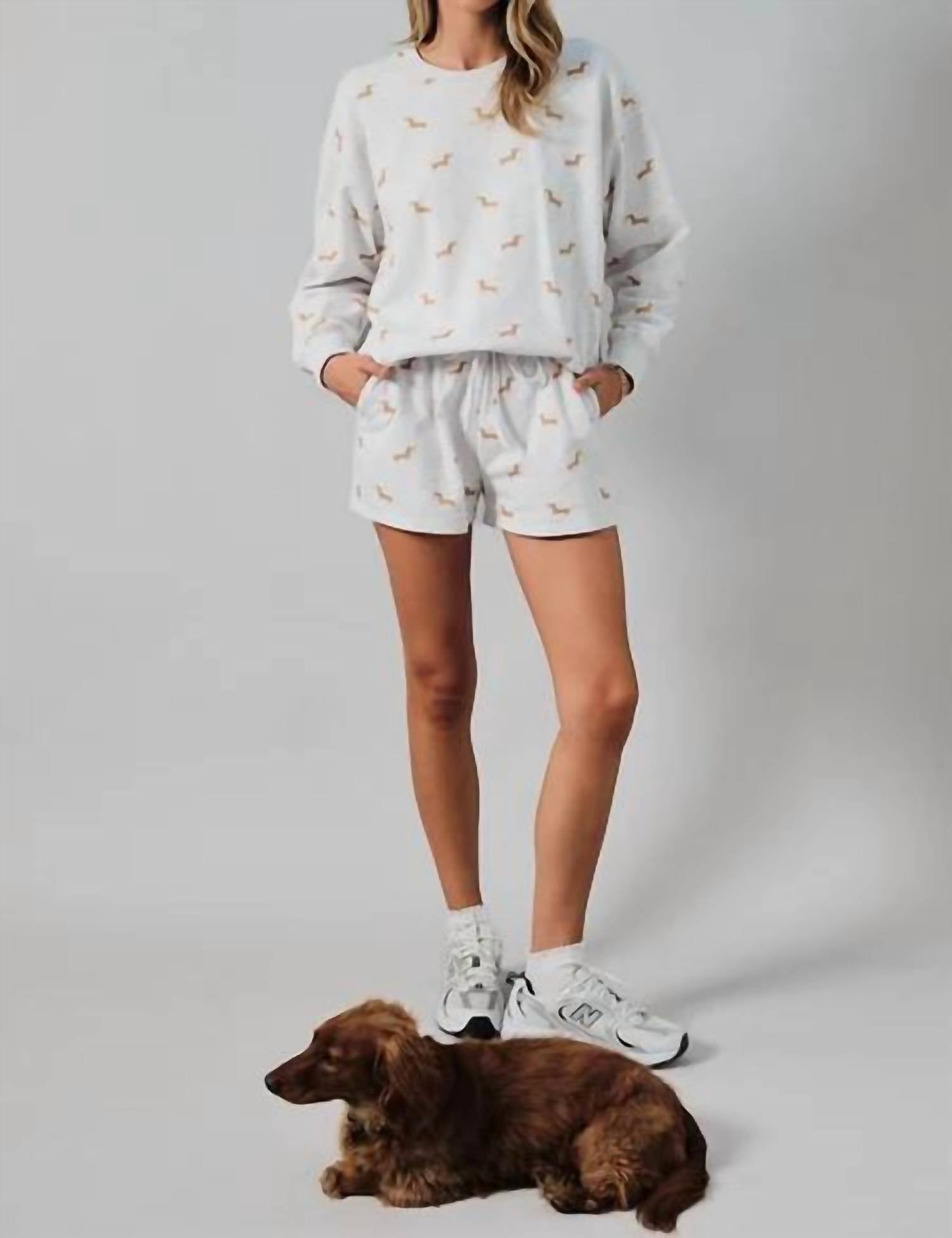 Sunday Edition - Hot Dog Shorts