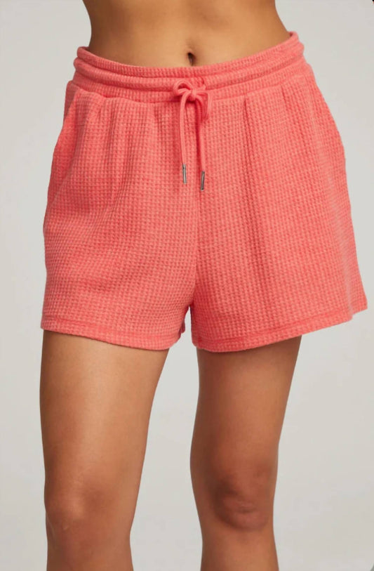 Chaser - KESH SHORTS