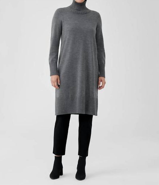 Merino Jersey Turtleneck Dress in Regenerative Wool