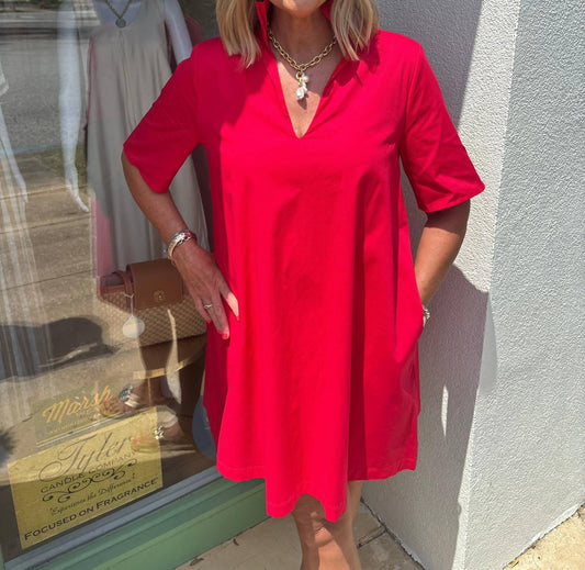 Adrienne - Ruffle Collar A Line Dress