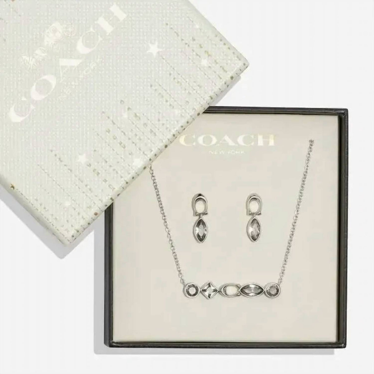 Coach - Women's Gemstone Necklace & Earring Set