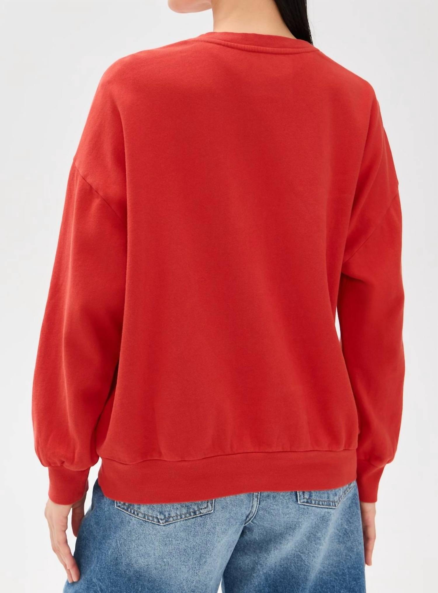 Z Supply - Usa Sunday Sweatshirt