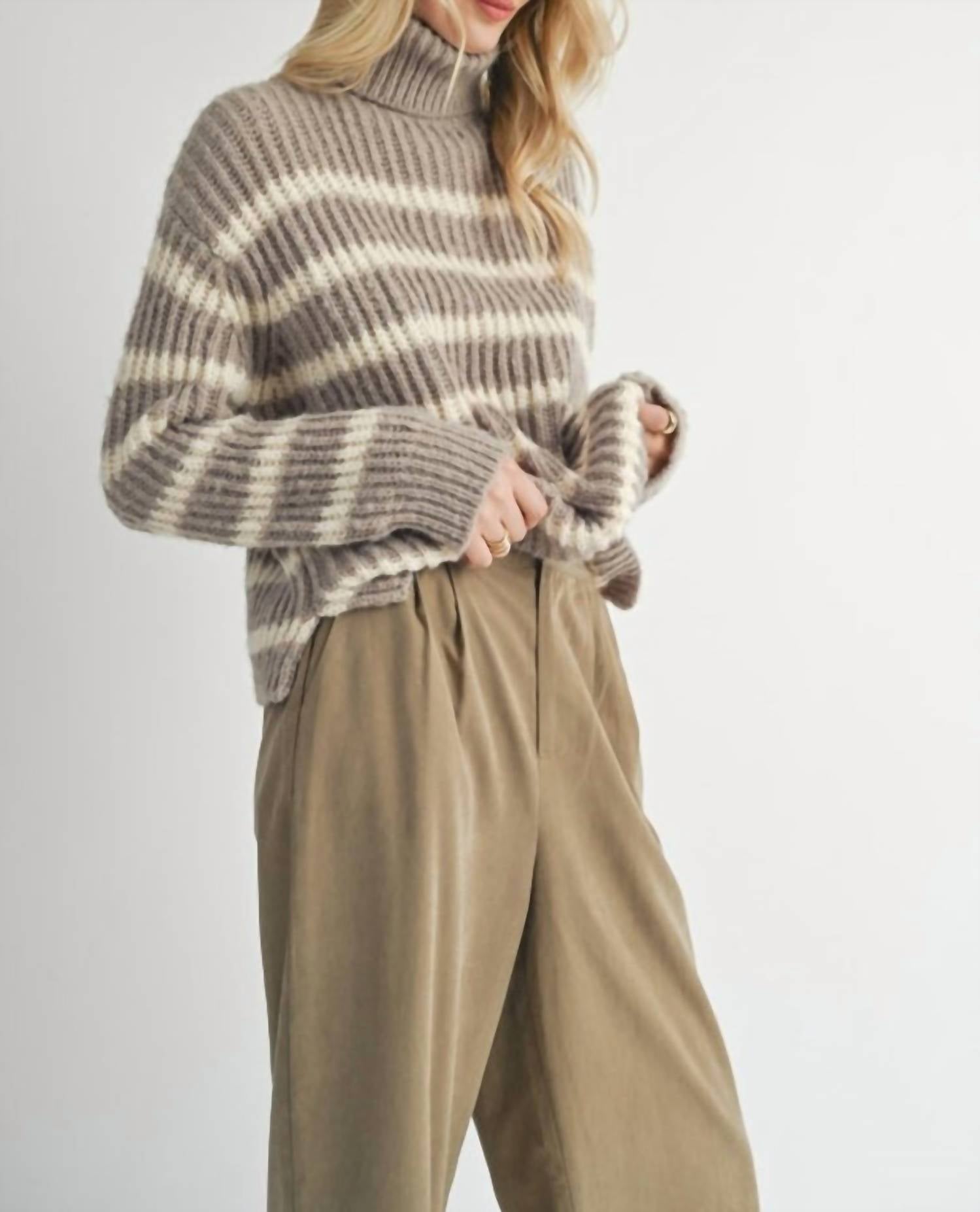 Sadie & Sage - Aki Turtleneck Striped Sweater
