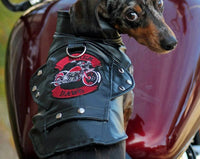 Doggie Design - Biker Dawg Motorcycle Jacket