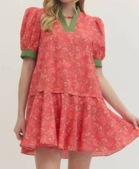 Entro - Backyard Ruffle Dress