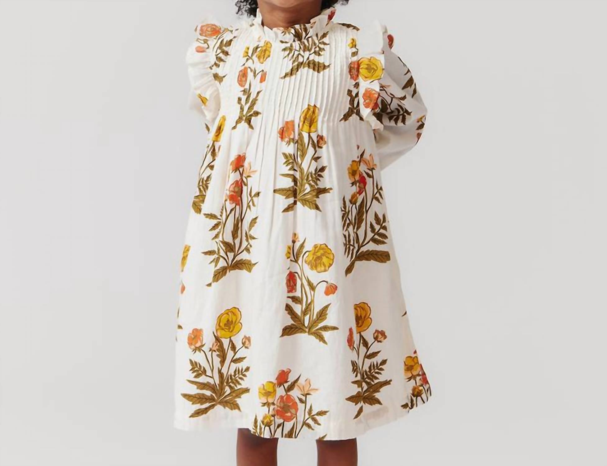 Pink Chicken - Jaipur Dress