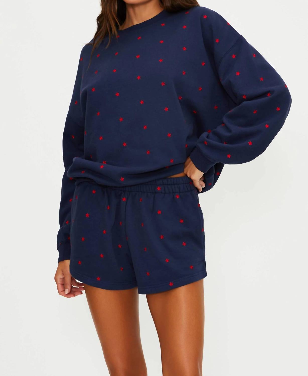 Beach Riot - Malik Shorts