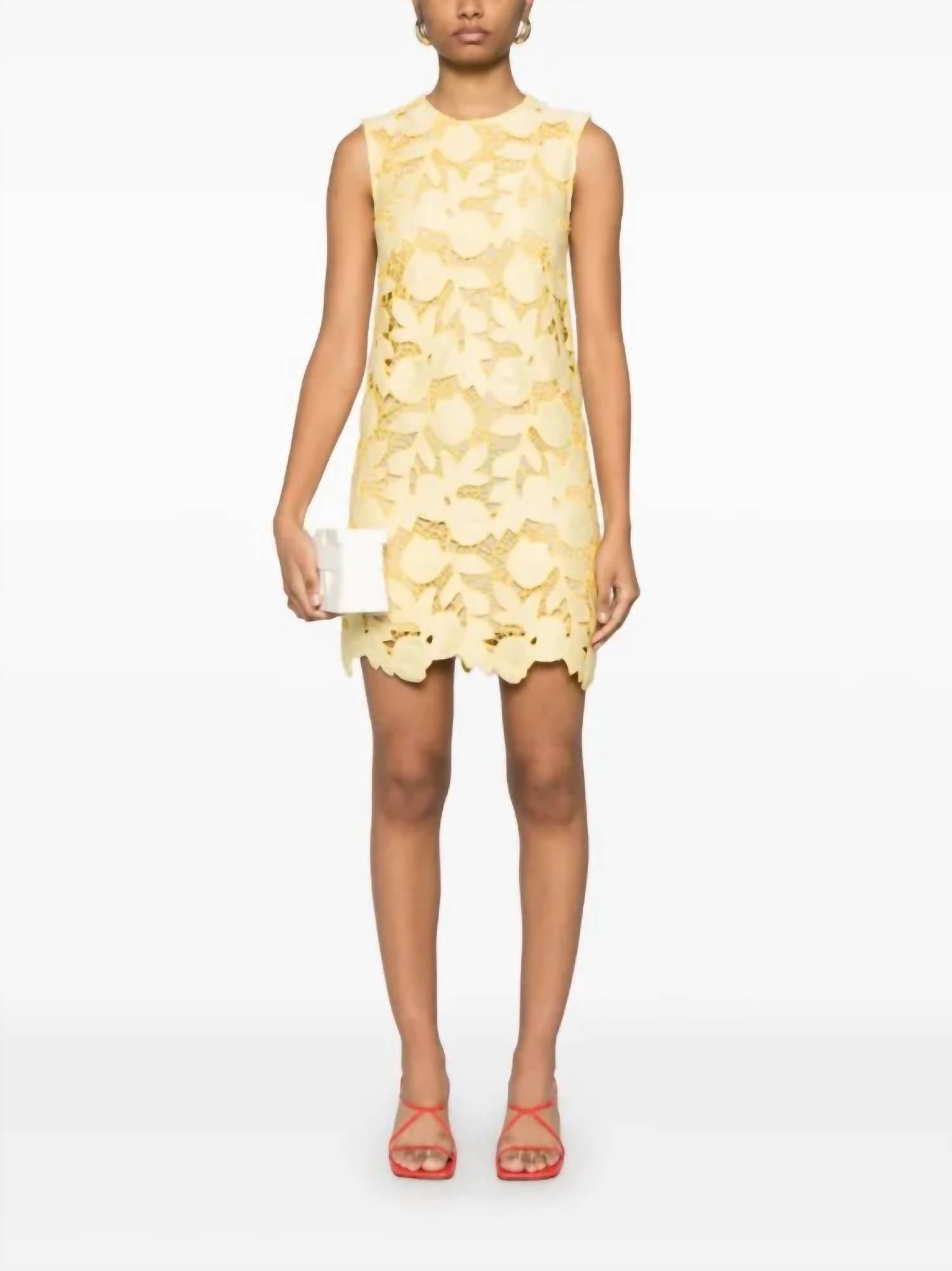 Simkhai - Mickie Mini Dress