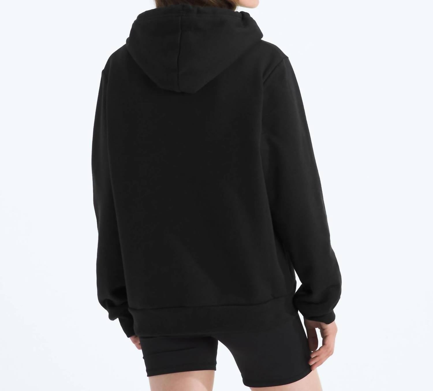 The North Face - Evolution Half Dome Hoodie