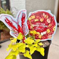 Songbird Grove Collection - Mini Let the Good Times Boil Garden Stake