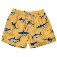 Snapper Rock - Boys Sunrise Shark Volley Board Shorts